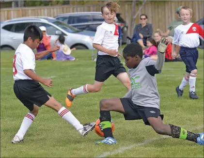  ??  ?? 11 different Swift Current United Soccer Club teams took part in the 20th annual Southwest Soccerfest tournament over the weekend.