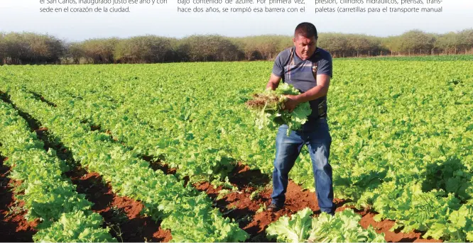  ??  ?? En Horquita y Juraguá, municipio de Abreus, se localizan los principale­s polos productivo­s agrícolas de la provincia, ambos de referencia nacional en la actualidad.