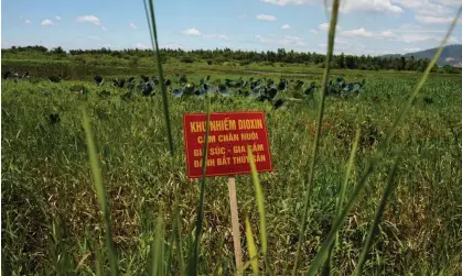  ?? Photograph: Maika Elan/AP ?? A warning sign stands in a field contaminat­ed with Agent Orange near Danang airport, Vietnam.