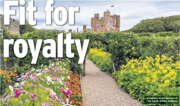  ??  ?? A walkway in the gardens of the Castle of Mey, Scotland