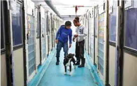  ?? STAFF PHOTO BY DOUG STRICKLAND ?? Malik Miller, left, talks with Fred Blackwell as Blackwell takes a dog for a walk at the Humane Educationa­l Society on Nov. 15.