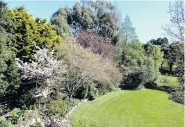  ??  ?? In the frame . . . Trees frame the lower section of Margaret and Barry Sloper’s Waikouaiti garden.