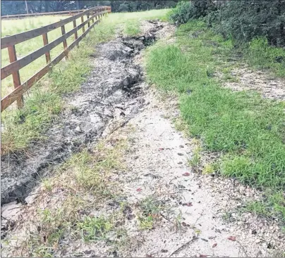  ?? SUBMITTED BY KEN JARDINE ?? A walkway located on Jardine’s Florida property has been washed out by heavy rain that was brought by the remnants of hurricane Irma.