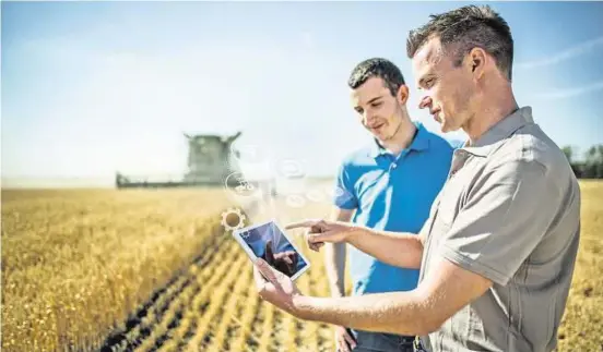  ??  ?? El sector agropecuar­io fue uno de los que no se detuvo pese a la llegada del coronaviru­s a Uruguay, ya que tiene ciclos biológicos que no se pueden frenar y puede ser un “motor” de salida.