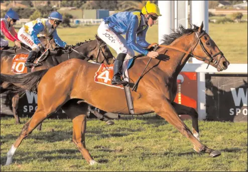  ?? Picture: Liesl King ?? Bernard Fayd’Herbe will be in the saddle when RAINBOW BRIDGE runs in the Cape Mile at Kenilworth tomorrow.