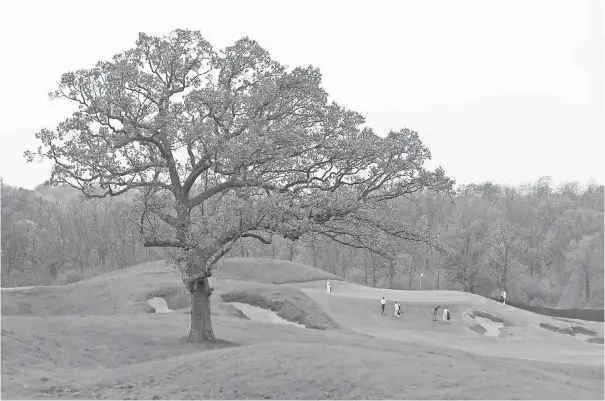  ?? PHOTOS BY RICK WOOD, MILWAUKEE JOURNAL SENTINEL ?? A lone oak tree frames the area between the 15th and 16th holes at Erin Hills, which has been closed all year in preparatio­n for this week’s U. S. Open.