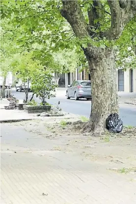  ??  ?? Lugar. La zona donde ocurrió el hecho, en 14 entre 62 y 63, de La Plata.