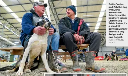  ?? JOHN HAWKINS/ STUFF ?? Eddie Conlan and Zeb the dog with John Kennedy on Saturday at the Southern Indoor Charity Dog Trials. Below, it’s a standoff between Johnny Bennett’s dog Rodge and a ewe hogget.