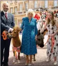  ?? ?? Queen with Brooke’s staff and Shetland pony and donkey