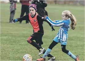  ??  ?? Russell Foster League U10 action at East Durham College, Peterlee, with Hartlepool Youth (blue/white) and Bishop Auckland Panthers (red/black).