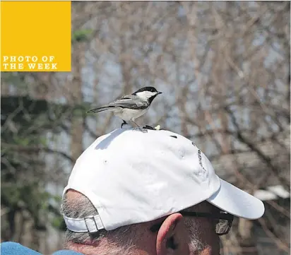  ?? PETER ZEEMAN OF ST-LAZARE ?? Perfect birdwatchi­ng weather.