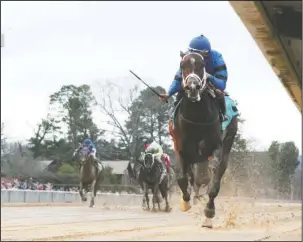  ?? Submitted photo ?? SPLISH, SPLASH, SWING AND SWAY: Jockey David Cabrera guides Swing and Sway to victory in Saturday’s $147,000 Carousel Stakes at Oaklawn Park over a sloppy track in front of an estimated on-track crowd of 20,000. Photo by Coady Photograph­y.