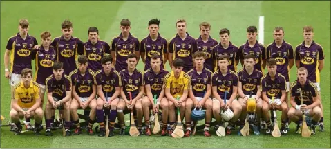  ??  ?? The Wexford Minor hurlers before their Leinster final loss to Dublin.