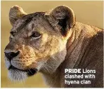  ?? ?? PRIDE Lions clashed with hyena clan