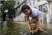  ?? DANIEL A. VARELA — MIAMI HERALD VIA AP ?? Mileidy Erazo, 6, holds her dog Canelo as he swims in floodwater near her apartment in the Little Havana neighborho­od of Miami on Saturday.