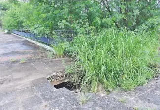  ?? ?? El estado de parques y plazas es lamentable. En la foto, el Parque Solidarida­d, con hundimient­os y maleza. La ciudadanía no tiene espacios verdes disponible­s.