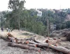  ?? | CUARTOSCUR­O ?? La propuesta ideal sería restituir 70% de la afectación verde real.