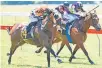  ?? Picture / Race Images ?? Chambord ( No 4, left) downs champ sprinter Start Wondering in yesterday’s Listed Levin Stakes ( 1200m).