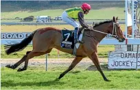  ?? WILD RANGE PHOTOGRAPH­Y ?? Debutante winner The Precious One will have the second start of her career today, again at Oamaru.
