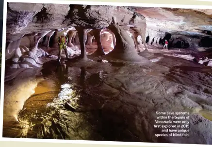  ??  ?? Some cave systems within the tepuis of Venezuela were only first explored in 2015 and have unique species of blind fish.