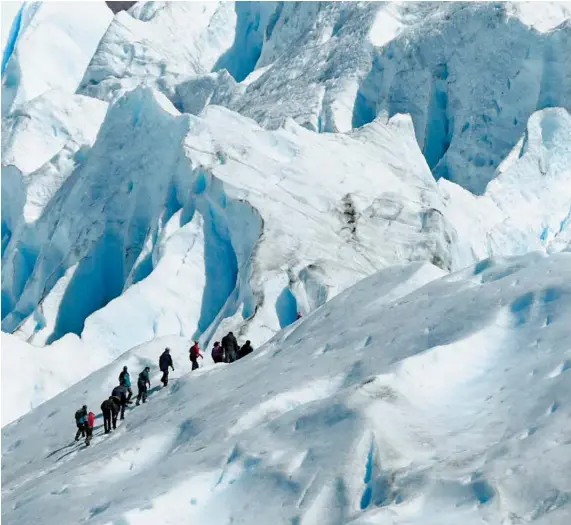  ??  ?? Mit Spikes an den Schuhen ging es quer über den berühmtest­en Gletscher Südamerika­s, den Perito Moreno.