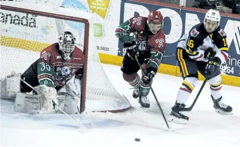  ?? BERND FRANKE/REGIONAL SPORTS EDITOR ?? Niagara's Johnathon Schaefer, No. 8, backs up goaltender Stephen Dhillion by stripping the puck away from Barrie's Ben Hawerchuk in Ontario Hockey League action Saturday night in St. Catharines.