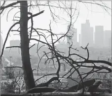  ?? AP PHOTO ?? The Los Angeles skyline is seen through burned trees after a brush fire erupted in the hills in Elysian Park on Dec. 14. California’s water managers are saying it’s too early yet for fears that the state is sliding back into its historic five-year...