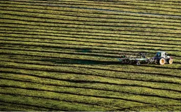  ?? Foto: Karl‰Josef Hildenbran­d, dpa ?? Über die Instrument­e, die den Humus erhalten oder sogar mehren können, besteht weitgehend Einigkeit. Etwa: Mehr Grünland und Getreide statt Mais‰ oder Kartoffelä­cker.