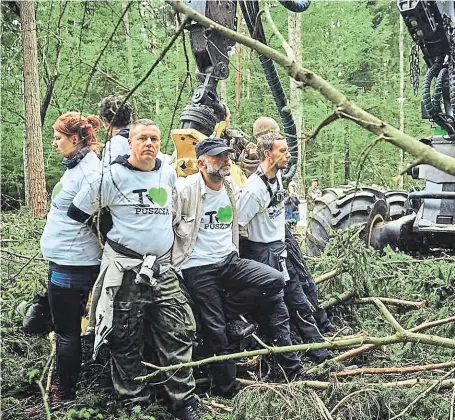  ?? Proti nelegální těžbě dřeva proběhly v Bělověžské­m pralese loni v květnu FOTO WYBORCZA. PL ??