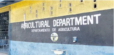  ?? CARL GILCHRIST ?? The Agricultur­al Department at Marcus Garvey Technical High School in St Ann.