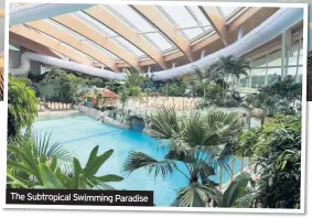  ??  ?? The Subtropica­l Swimming Paradise