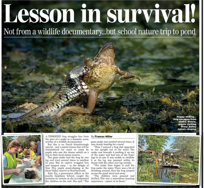  ?? ?? Hoppy ending... frog escapes from snake. Below, pupils visiting Stour Valley nature reserve