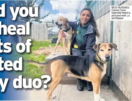  ??  ?? BEST BUDDIES: Canine Carer Gabrielle Mahil is pictured with JJ and Bipper