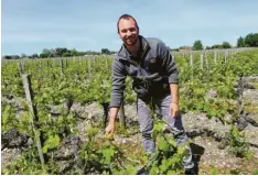  ??  ?? Bei dieser Arbeit bekommt man Sonnenbräu­ne – aber auch die ein oder andere Sorgenfalt­e: Weingutsve­rwalter Jérôme Pineau. Foto: Birgit Holzer