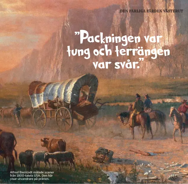  ??  ?? Alfred Bierstadt målade scener från 1800-talets USA. Den här visar utvandrare på prärien.
”Packningen var tung och terrängen
var svår.”