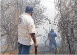  ?? FOTOS/ALMANZA. ?? En esta época del año se acrecienta­n los incendios forestales.