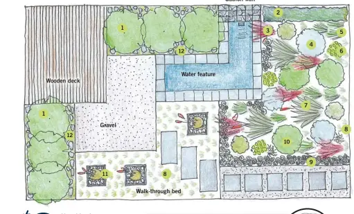  ??  ?? 1 Wooden deck Size: 10 x 6m Full sun Gravel 1 Walk-through bed Water feature Gabion wall 3 2 [ 1 2 3 4 5 6 7 PLANT LIST 8 9 10 11 12 7 violet 4 9 Water pear Big num-num setaceum Gongoni grass Pink joy Crane flower Fescue grass Cone bush tenuifolia); 5...