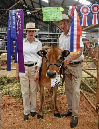  ?? PHOTO: CASSANDRA GLOVER ?? ON SHOW: Jenny and Steve McCarthy, of East Greenmount, with their prize-winning jersey heifer.