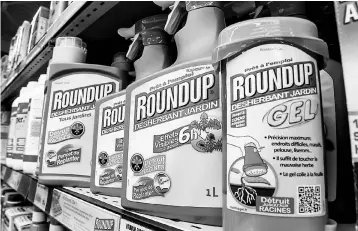  ??  ?? This file photo shows a bottle of Monsanto’s ‘Roundup’ pesticide in a gardening store in Lille. German chemicals and pharmaceut­icals giant Bayer said it booked a huge windfall gain in the third quarter, but reported no fresh progress on its planned...