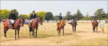  ??  ?? The Six Top Placings in the Horse Grand Prix from left: 1 Brook Edgecombe, 2 Simon Wilson, 3 Julie Davey, 4 Melody Matheson, 5 and 6 Maurice Beatson.