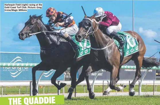  ?? ?? Harlequin Field (right) racing at the Gold Coast Turf Club. Picture: Greg Irvine/magic Millions