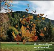  ??  ?? On ne serait pas en automne ?