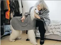  ?? LUCA BRUNO/THE ASSOCIATED PRESS ?? Designer Giovanna Temellini with her Afghan greyhound Ulisse, wearing a winter coat at Temellini’s manufactur­ing headquarte­rs in Milan. Temellini launched Dog a Porter a year ago.
