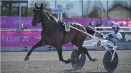  ?? Foto: Henrik MontgoMery/tt ?? Propulsion, med kusken Örjan Kilström i sulkyn, vann Elitloppet i söndags.
■ Nu är hästen anklagad för att vara nervsnitta­d.