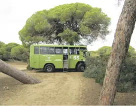  ?? ?? Mit dem Allrad-Bus rumpelt es sich gemütlich durch Doñana.