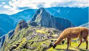  ??  ?? TAKING IN THE VIEWSThere are three different trains to Machu Picchu, above