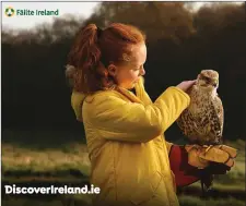  ?? A sample image from Fáilte Ireland’s ‘Keep Discoverin­g’ campaign. ??