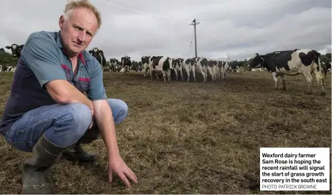  ?? PHOTO: PATRICK BROWNE ?? Wexford dairy farmer Sam Rose is hoping the recent rainfall will signal the start of grass growth recovery in the south east