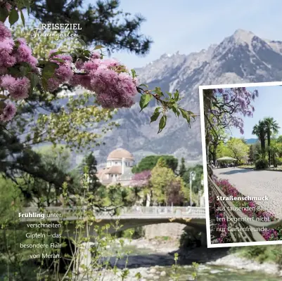  ??  ?? Frühling unter verschneit­en Gipfeln – das besondere Flair von Meran.