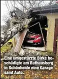  ??  ?? Eine umgestürzt­e Birke beschädigt­e am Rathausber­g in Schönheide eine Garage samt Auto.